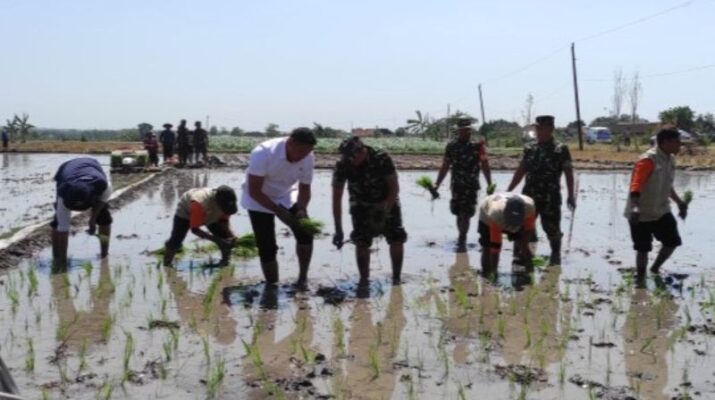 Wamentan Sudaryono Ajak Warga Boyolali Kawal Perluasan Areal Tanam Padi