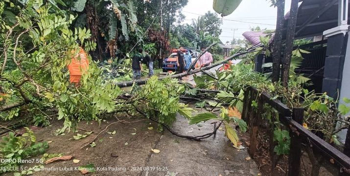 Hujan Lebat di Padang, Sejumlah Kawasan Tergenang Air, Pohon Tumbang