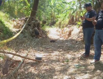 Wanita Pencari Rumput di Brebes Ditemukan Tewas Tinggal Separuh Badan