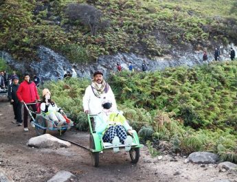 Kunjungan ke TN Baluran Justru Meningkat sejak Kawah Ijen Tutup Sementara