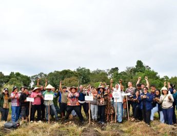 Poktan Marlundu Panen Raya Kentang 33 Ton