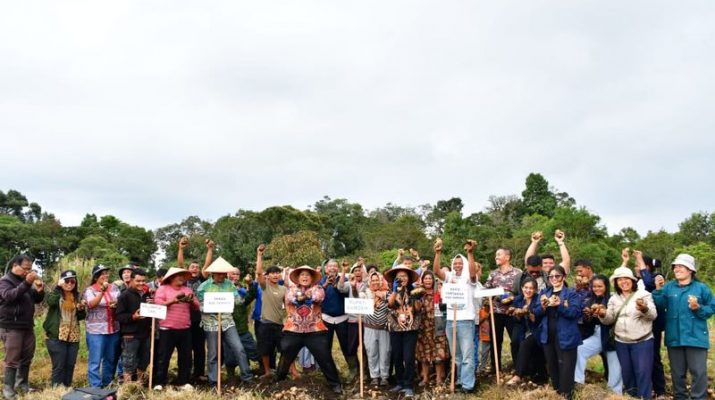 Poktan Marlundu Panen Raya Kentang 33 Ton