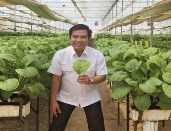 Produksi Beras Naik di Tengah El Nino, Program Pompanisasi Kementan Dinilai Berhasil