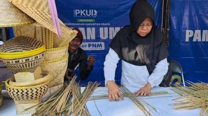 Menangkan Program Literasi Keuangan Terbaik, PNM Diganjar Penghargaan