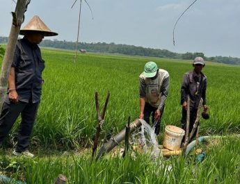 Kementan Gencarkan Pompanisasi, Pastikan Pompa Berhasil Nyala Mengairi Sawah