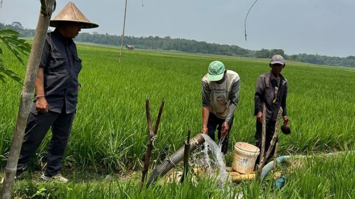 Kementan Gencarkan Pompanisasi, Pastikan Pompa Berhasil Nyala Mengairi Sawah