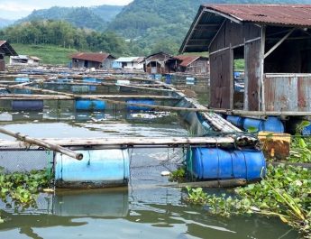 Kemarau, Air Waduk Saguling Menyusut