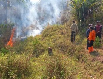 Karhutla di Jawa Barat kembali Terjadi di 4 Kabupaten