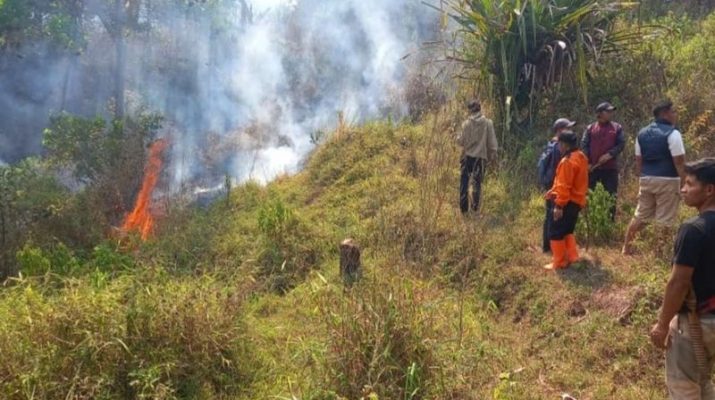 Karhutla di Jawa Barat kembali Terjadi di 4 Kabupaten