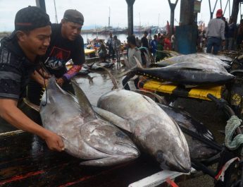 Ketua Komisi IV DPR RI Tekankan Kolaborasi untuk Majukan Industri Perikanan