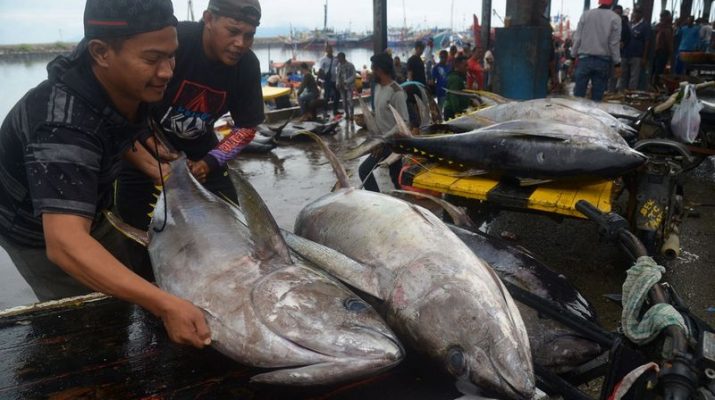 Ketua Komisi IV DPR RI Tekankan Kolaborasi untuk Majukan Industri Perikanan