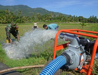 Kementan Sediakan Hotline Pengaduan Pompa untuk Petani yang Kekeringan