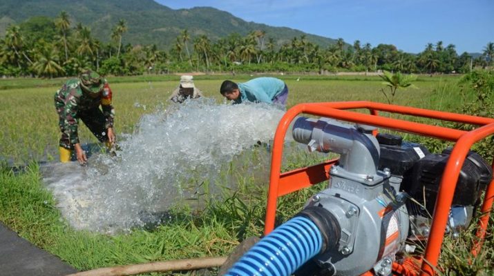 Kementan Sediakan Hotline Pengaduan Pompa untuk Petani yang Kekeringan