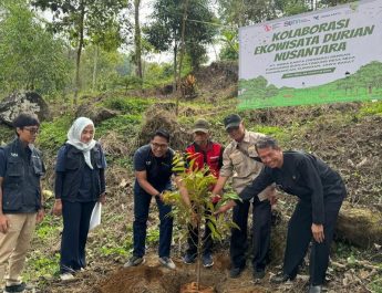 Sumbang Bibit Durian, Indra Karya Dukung Kemandirian Desa Seda di Kuningan