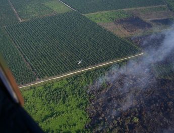 BMKG Optimalkan Modifikasi Cuaca Atasi Kebakaran Hutan