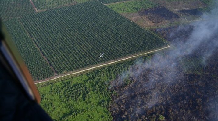 BMKG Optimalkan Modifikasi Cuaca Atasi Kebakaran Hutan