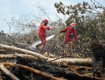 KLHK: Kebakaran Hutan di Jawa Tengah Capai 183 Hektare 