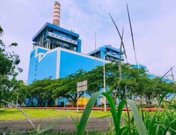 PLN akan Gunakan Green Ammonia Sebagai Alternatif Pengganti Batu Bara