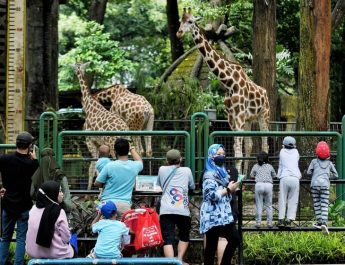 3 Rekomendasi Wisata Murah di Jakarta, Cocok untuk Liburan dengan Keluarga