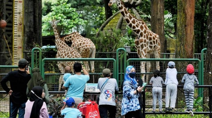 3 Rekomendasi Wisata Murah di Jakarta, Cocok untuk Liburan dengan Keluarga