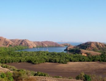 7 Wisata Pulau Komodo, Fasilitas dan Daya Tarik yang Eksotis