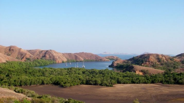 7 Wisata Pulau Komodo, Fasilitas dan Daya Tarik yang Eksotis