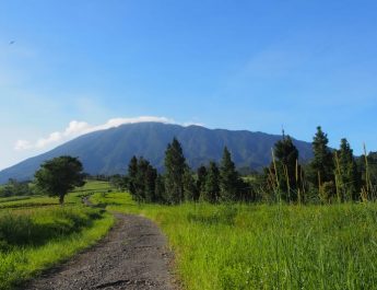 3 Rekomendasi Wisata Alam di Bogor yang Cocok untuk Liburan Keluarga, Dijamin Bebas Pungli