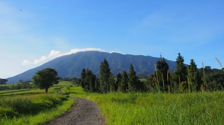 3 Rekomendasi Wisata Alam di Bogor yang Cocok untuk Liburan Keluarga, Dijamin Bebas Pungli