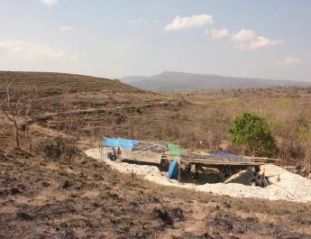 Misteri Fosil Hobbit: Penemuan Baru Mengungkap Evolusi Homo Floresiensis