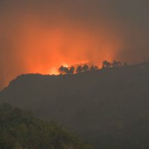 Kebakaran Hutan di Gunung Guntur