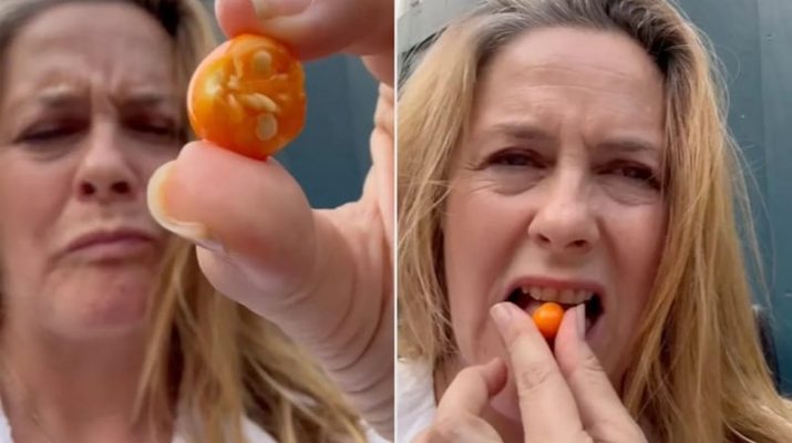 Alicia Silverstone Yakinkan Penggemar Masih Hidup dan Sehat Usai Konsumsi Buah Beracun