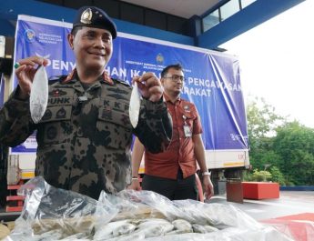 KKP Bagi-bagi 4 Ton Ikan ke Masyarakat Batam