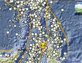 Halmahera Barat, Maluku Utara Diguncang Gempa Bumi Berkekuatan M 4.6