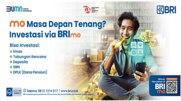 Bingung Memulai Investasi? Coba Pakai RDN di BRImo untuk Langkah Pertamamu