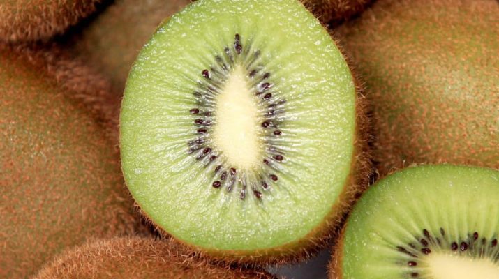 Uni Eropa Menuju Pertanian Berkelanjutan, Khususnya Apel dan Kiwi