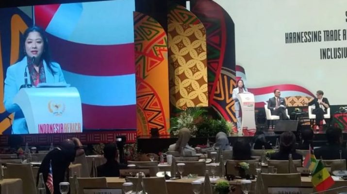 Indonesia Kkembangkan Hilirisasi Energi Baru Terbarukan di Afrika