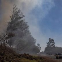 Kebakaran Hutan Amazon: Asap Beracun Selubungi Kota Tebesar di Brasil 