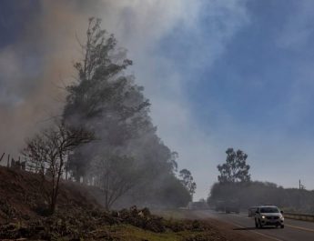 Kebakaran Hutan Amazon: Asap Beracun Selubungi Kota Tebesar di Brasil