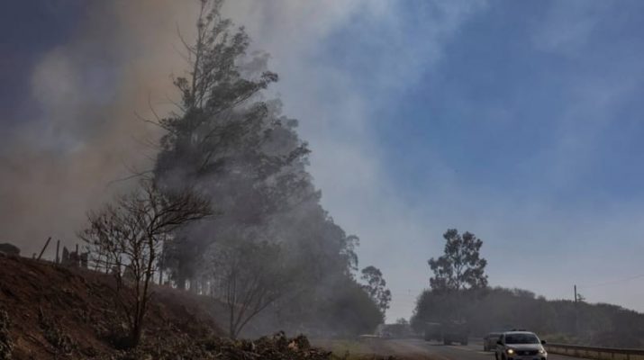 Kebakaran Hutan Amazon: Asap Beracun Selubungi Kota Tebesar di Brasil