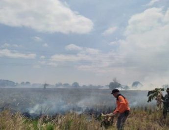 Dampak Kemarau, Karhutla di Majalengka Meningkat