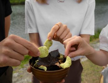 Pengertian Simbiosis Mutualisme, Contoh dan Maknanya