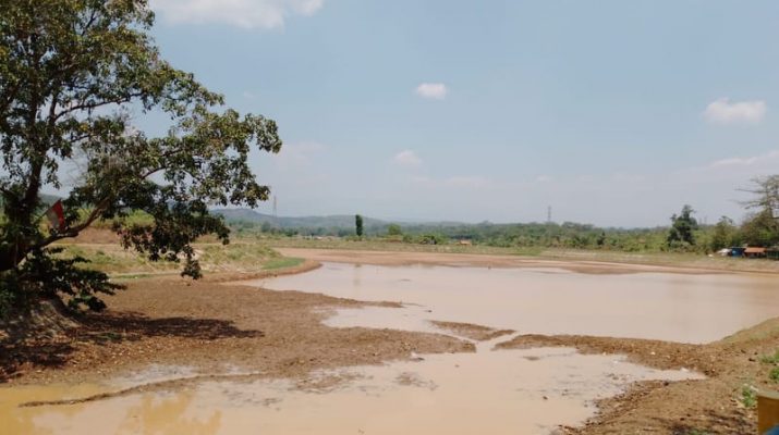 Danau di Purwakarta Mengering, Areal Pertanian Alami Puso