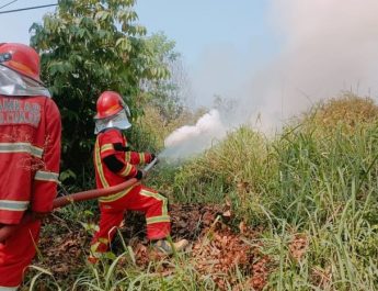 Kebakaran Lahan terjadi di 5 Kabupaten di Jawa Barat