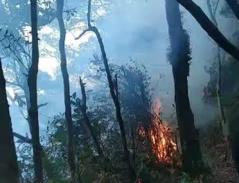 Kebakaran Hutan di Gunung Tangkuban Parahu sudah Bisa Dipadamkan