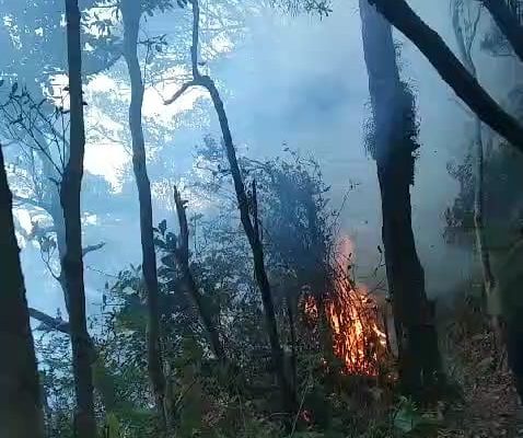 Kebakaran Hutan di Gunung Tangkuban Parahu sudah Bisa Dipadamkan