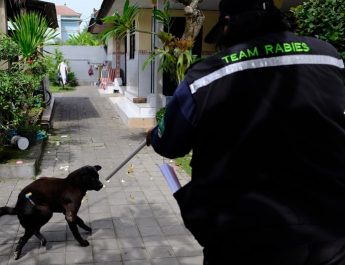 28 September, Sejarah dan Tujuan Hari Rabies Sedunia