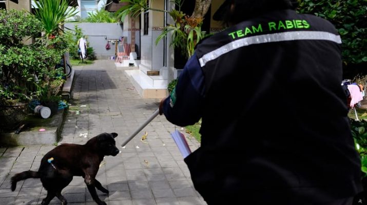 28 September, Sejarah dan Tujuan Hari Rabies Sedunia