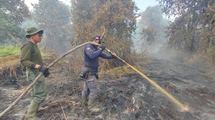 BMKG Ingatkan Sejumlah Wilayah Waspada Karhutla