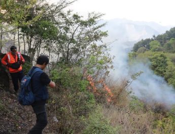 Karhutla Terjadi di 3 Daerah di Jawa Barat, Termasuk Depok