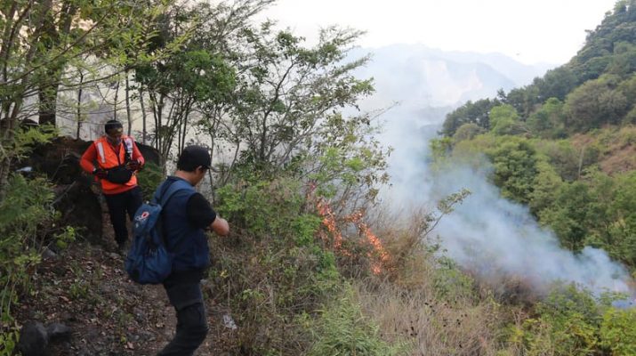 Karhutla Terjadi di 3 Daerah di Jawa Barat, Termasuk Depok